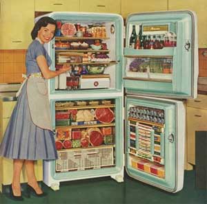 Lady With Fridge